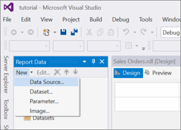 Screenshot of the Report Data pane with New > Data Source selected.