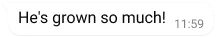 WhatsAppi tekstimull, kus on kirjas „he's grown so much“