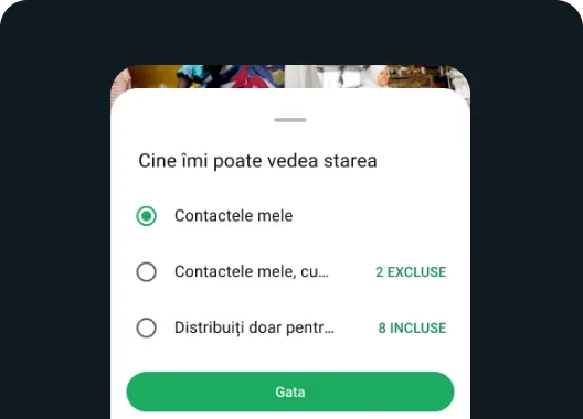 funcția cine vă poate vedea starea în whatsapp ilustrând posibilitatea de a alege persoanele cu care doriți să vă partajați starea