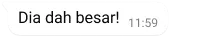 gelembung teks dalam bacaan whatsapp dia sudah semakin besar